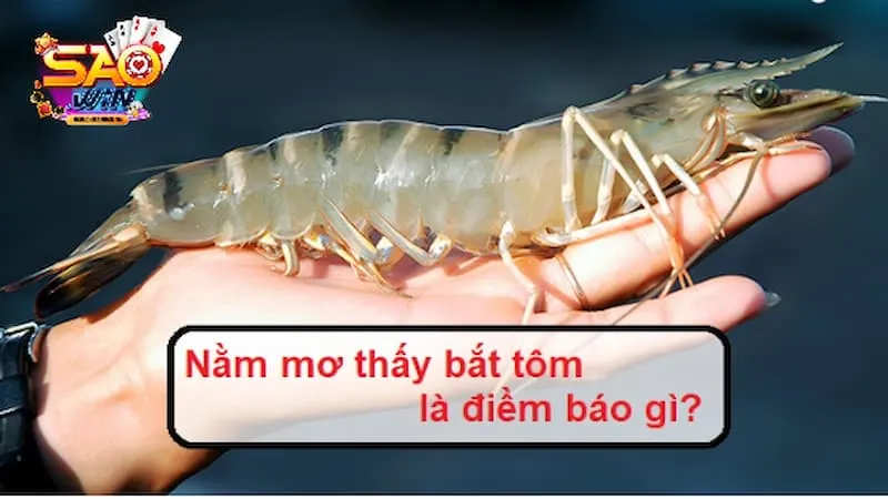 mơ thấy tôm bắt được